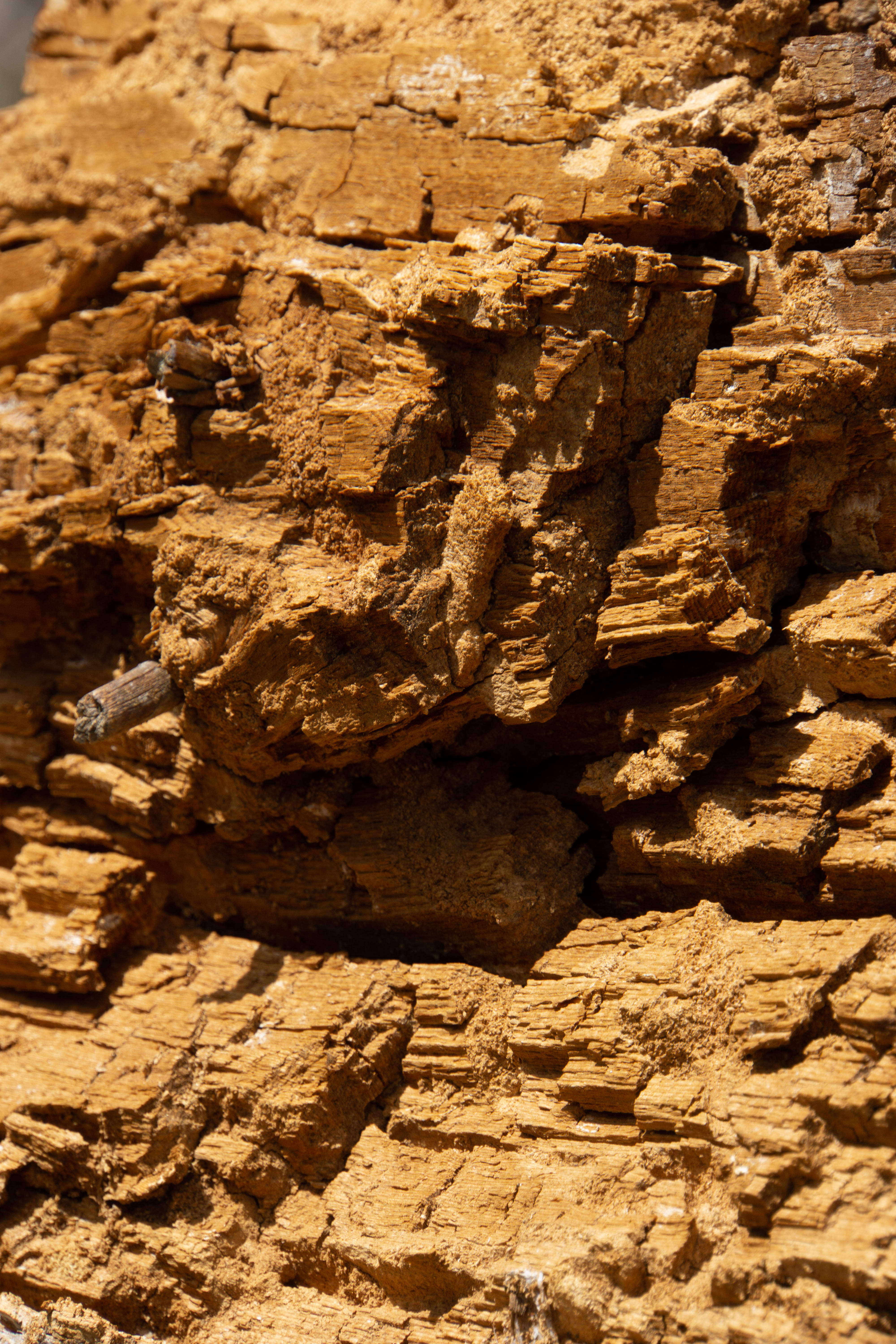 US National Parks 2022 35